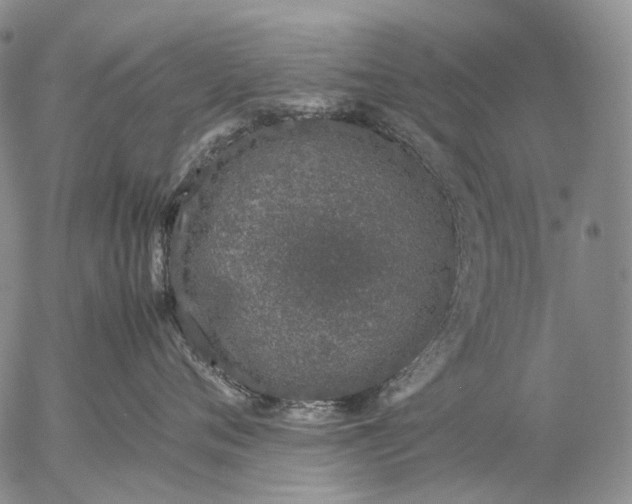 X0000057100720200509231716