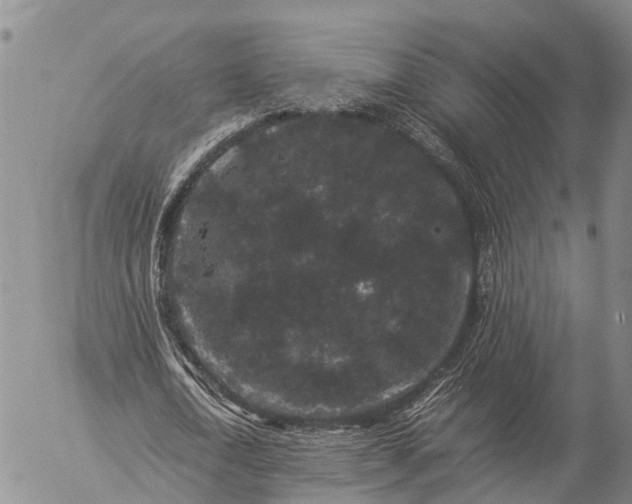 X0000057100722200509231715