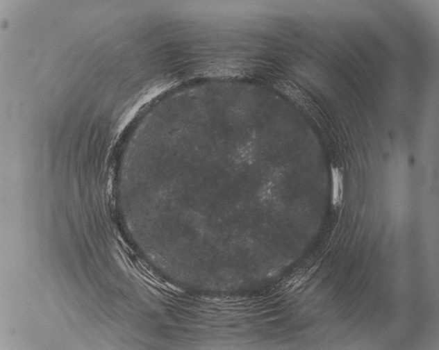 X0000057100723200509231715