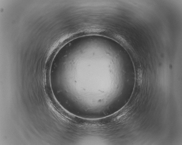 X0000057100726200509231715