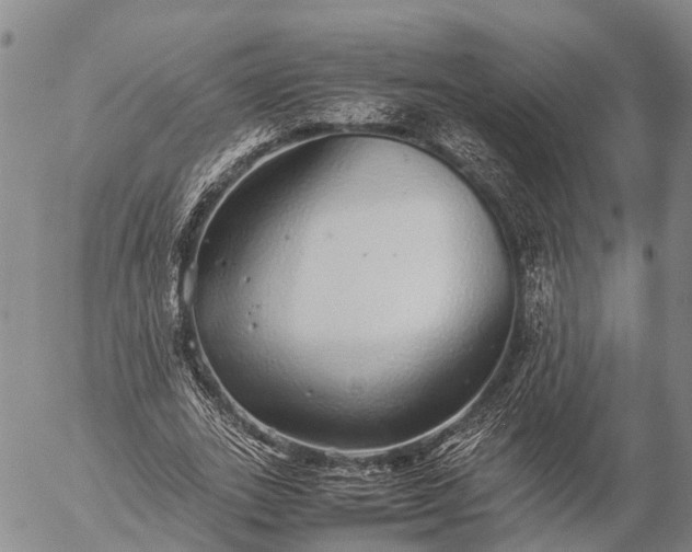 X0000057100727200509231715