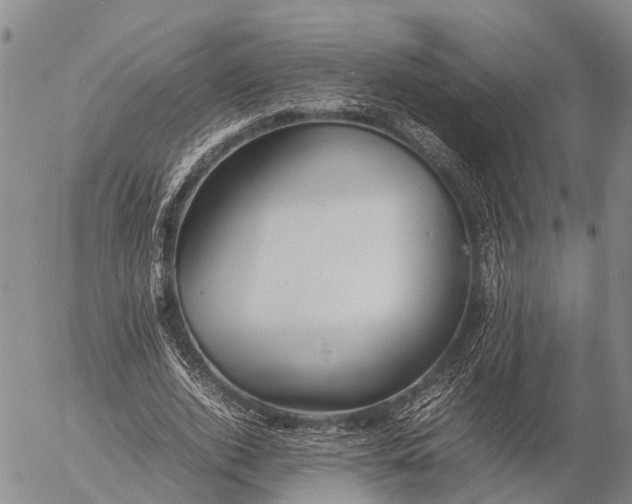 X0000057100728200509231715