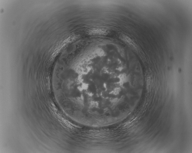 X0000057100729200509231715