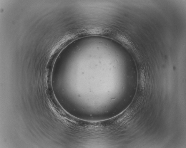 X0000057100730200509231715