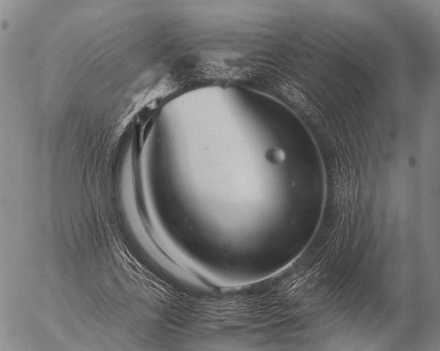 X0000057100731200509231715