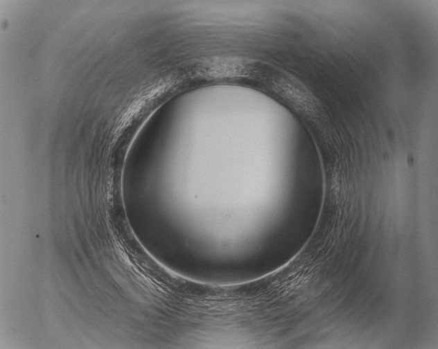 X0000057100732200509231715