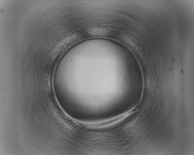 X0000057100733200509231715