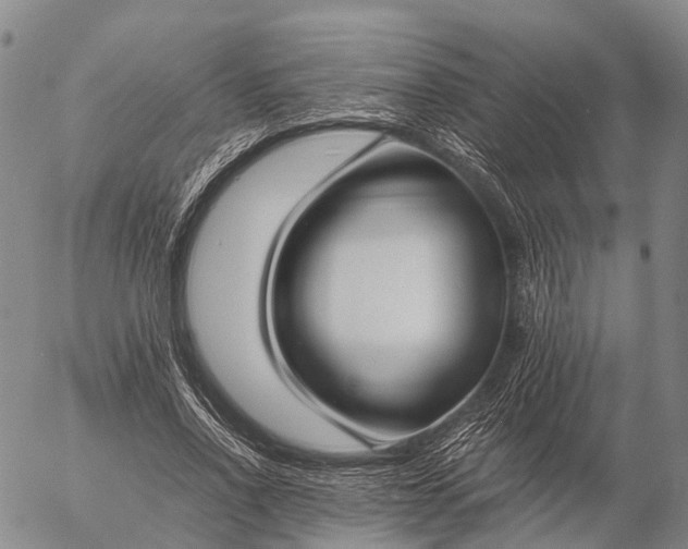 X0000057100734200509231715