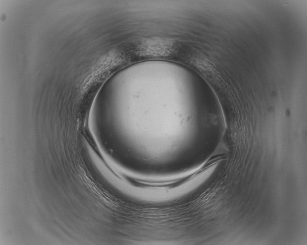 X0000057100735200509231715