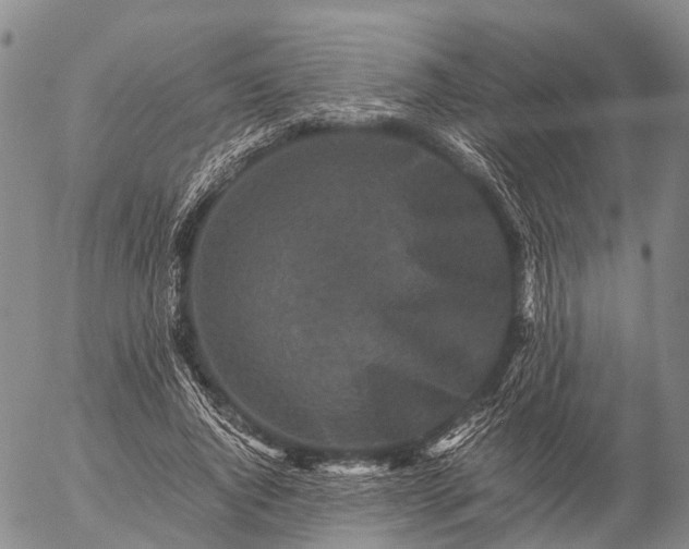 X0000057100736200509231715