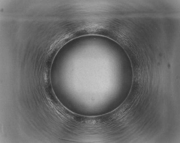 X0000057100740200509231715