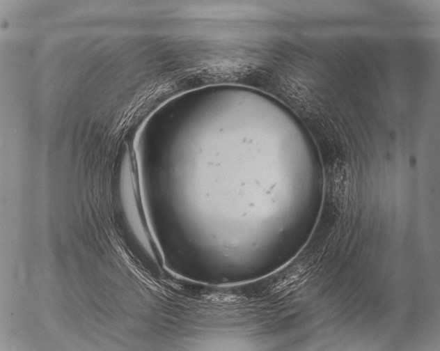 X0000057100742200509231715