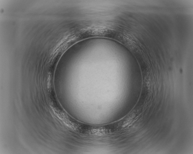 X0000057100744200509231715