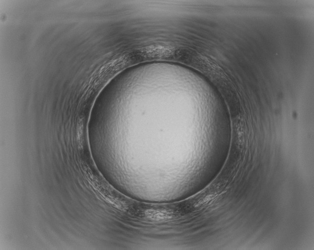 X0000057100745200509231715