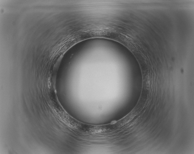 X0000057100746200509231715