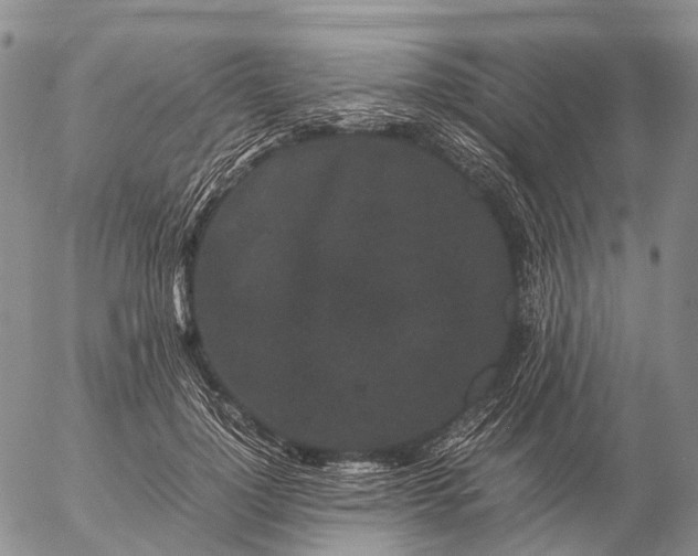 X0000057100748200509231715