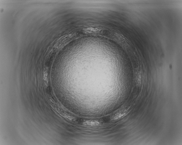 X0000057100749200509231715