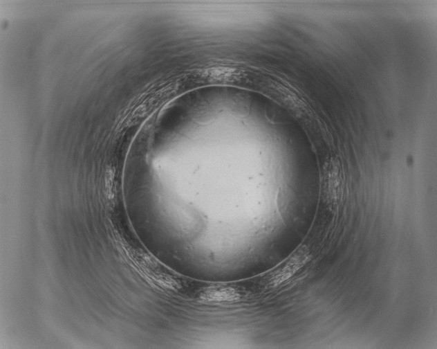 X0000057100750200509231715