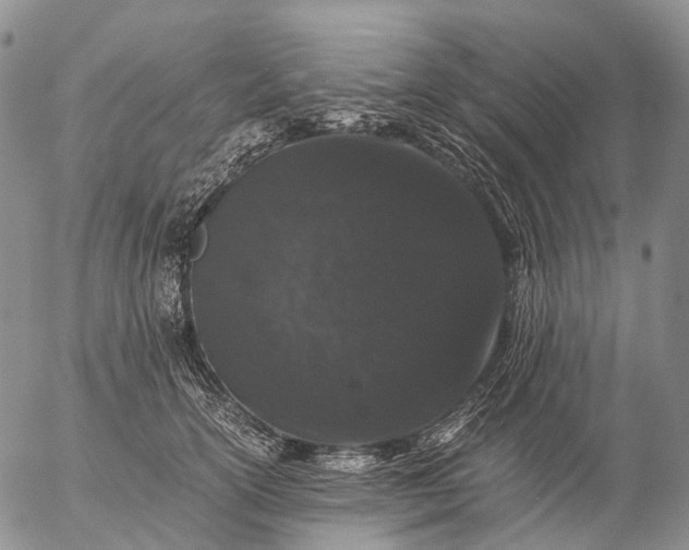 X0000057100754200509231715