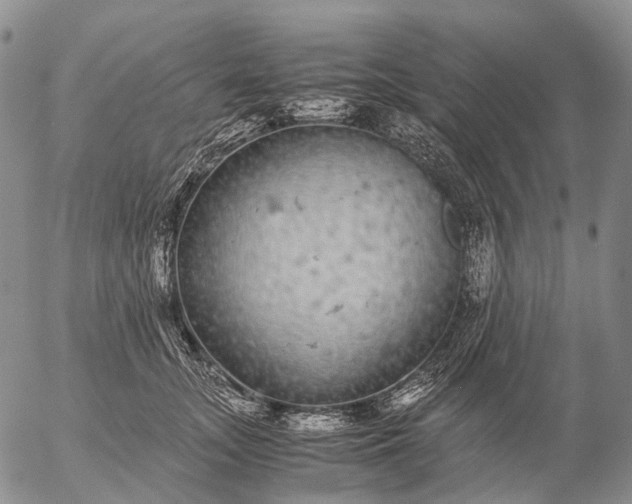 X0000057100755200509231715