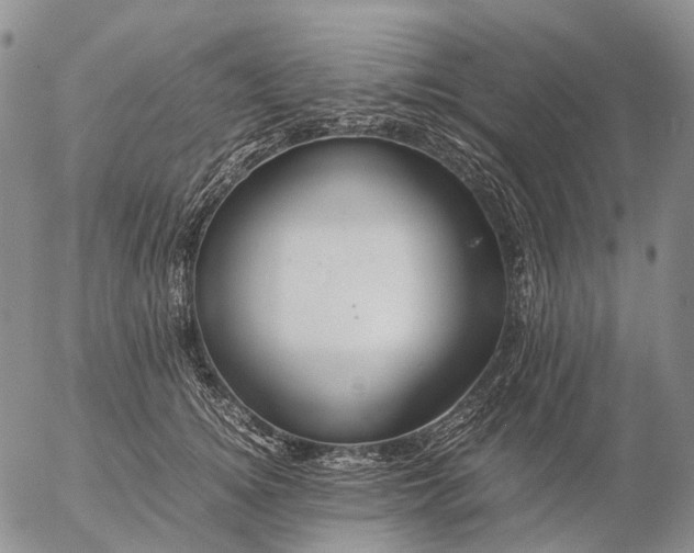 X0000057100756200509231715