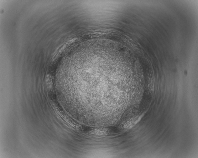 X0000057100758200509231715