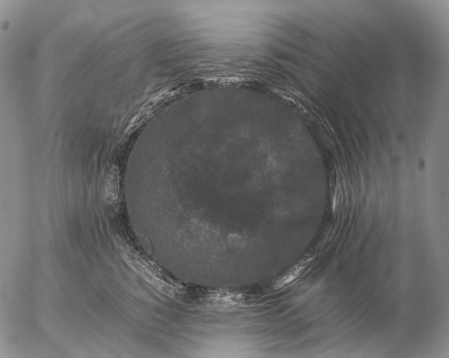 X0000057100760200509231715