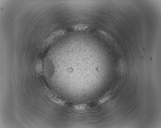 X0000057100761200509231716