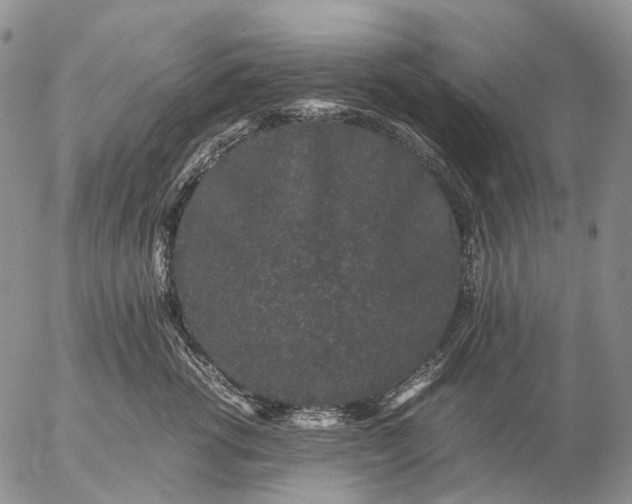 X0000057100762200509231716