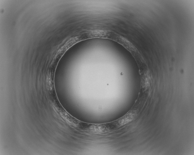 X0000057100764200509231716