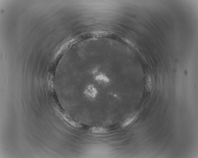 X0000057100766200509231716