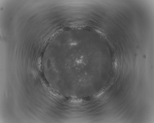 X0000057100767200509231716