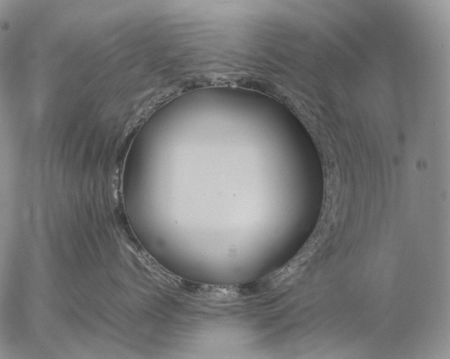 X0000057100768200509231716