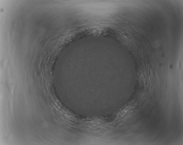 X0000057100769200509231715