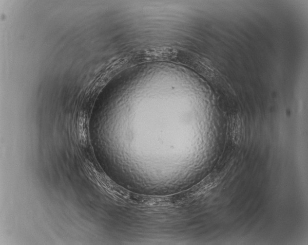 X0000057100770200509231715