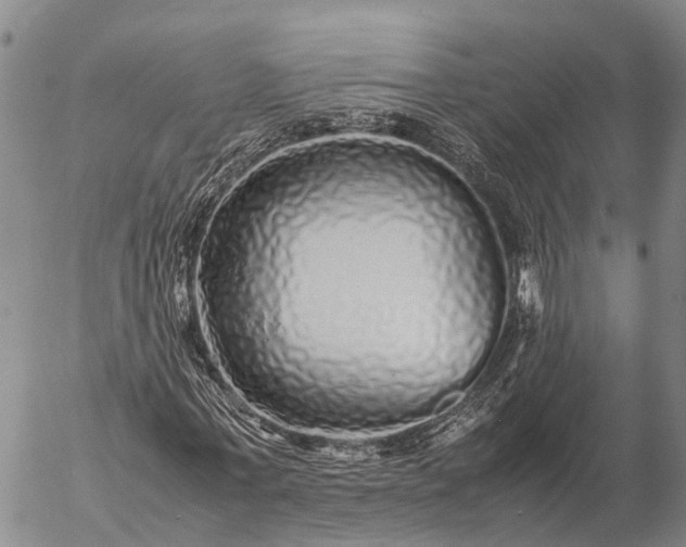 X0000057100771200509231715