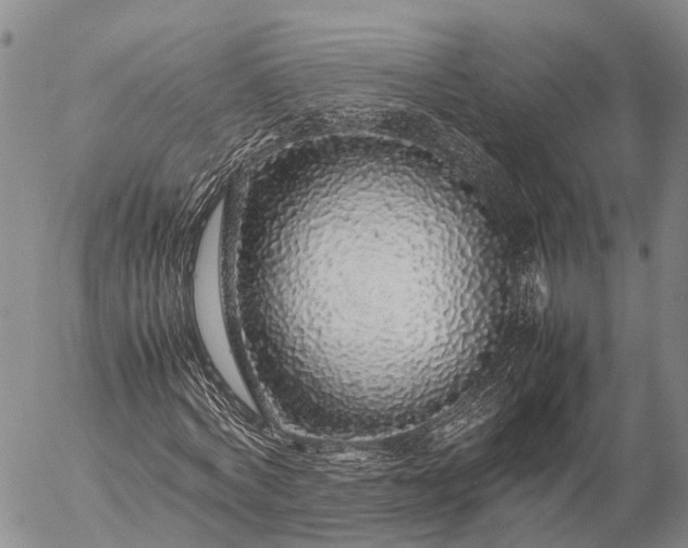 X0000057100772200509231715