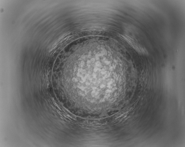 X0000057100774200509231715