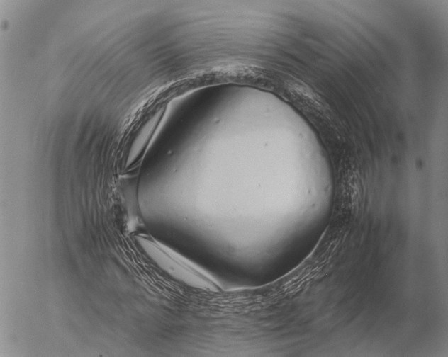 X0000057100776200509231715