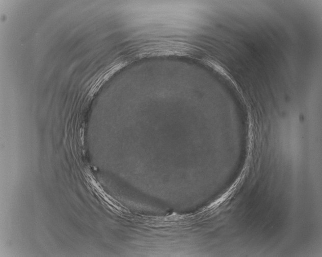 X0000057100777200509231715