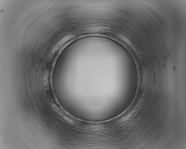 X0000057100778200509231715