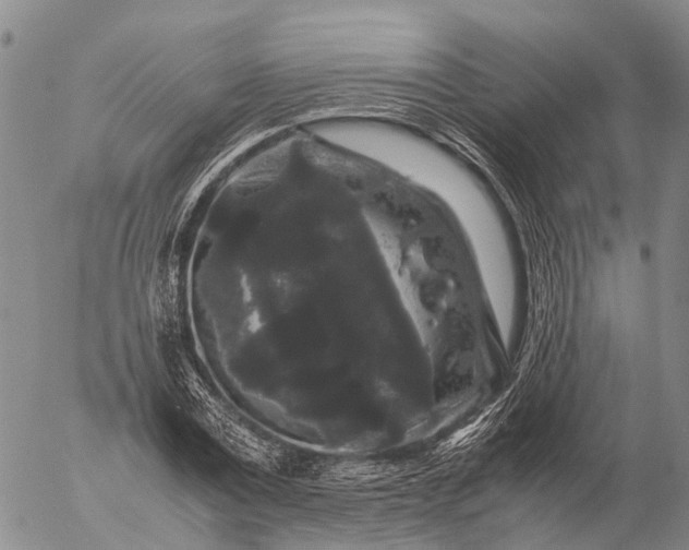 X0000057100779200509231715