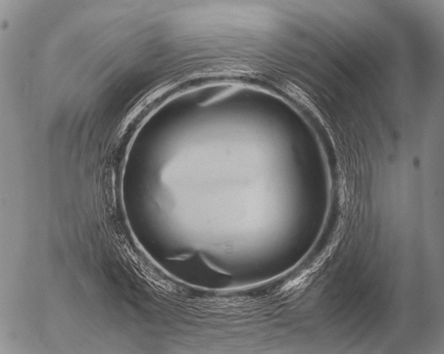 X0000057100781200509231715