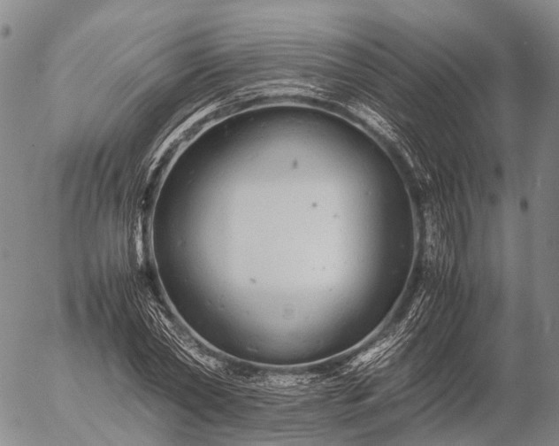 X0000057100782200509231715