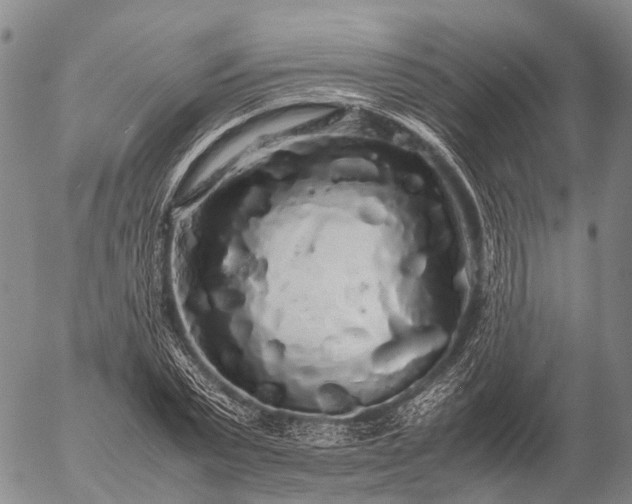 X0000057100783200509231715