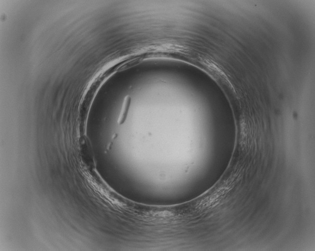 X0000057100784200509231715