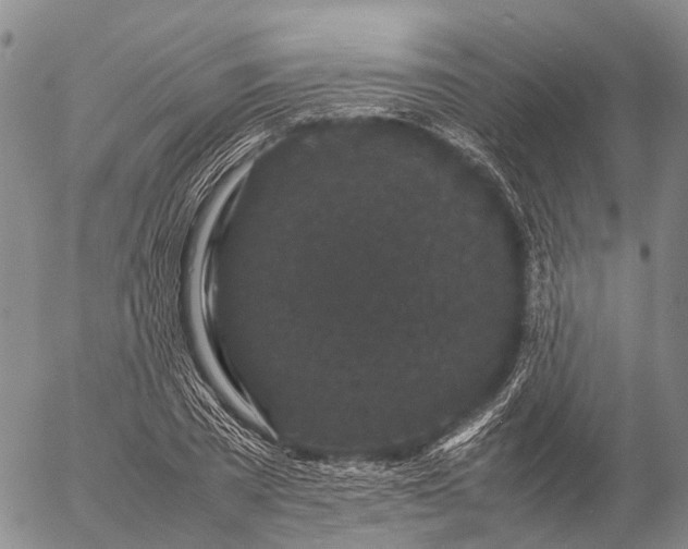 X0000057100785200509231715