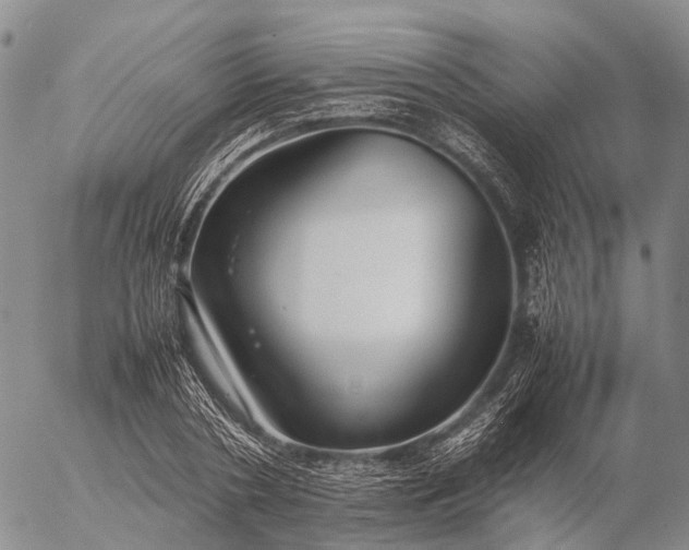 X0000057100786200509231715