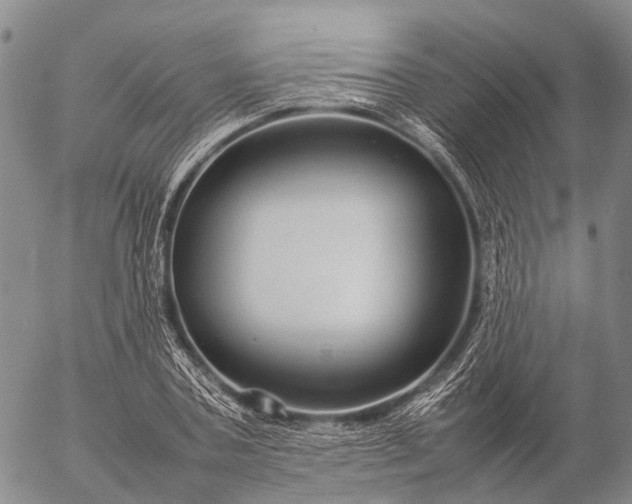 X0000057100787200509231715