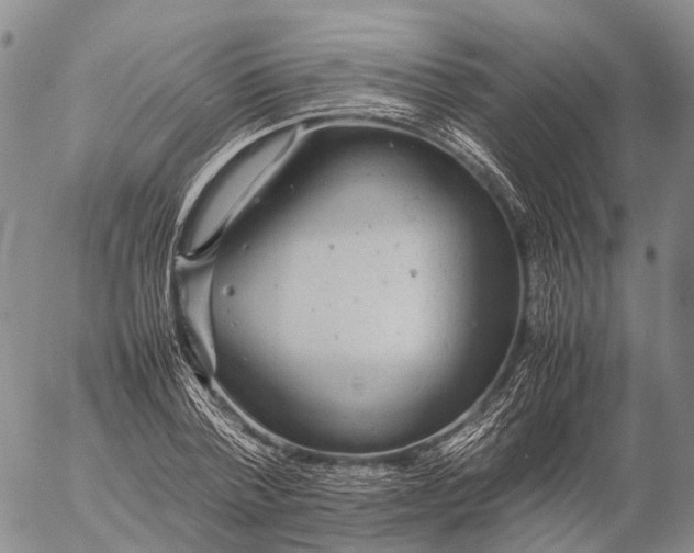 X0000057100788200509231714